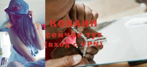 индика Армянск
