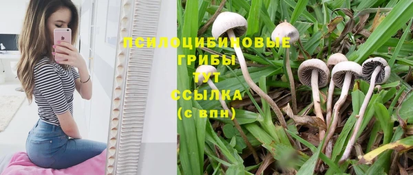 индика Армянск