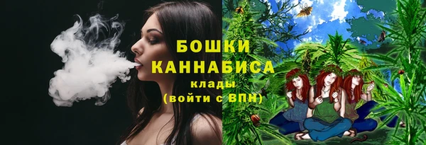 индика Армянск