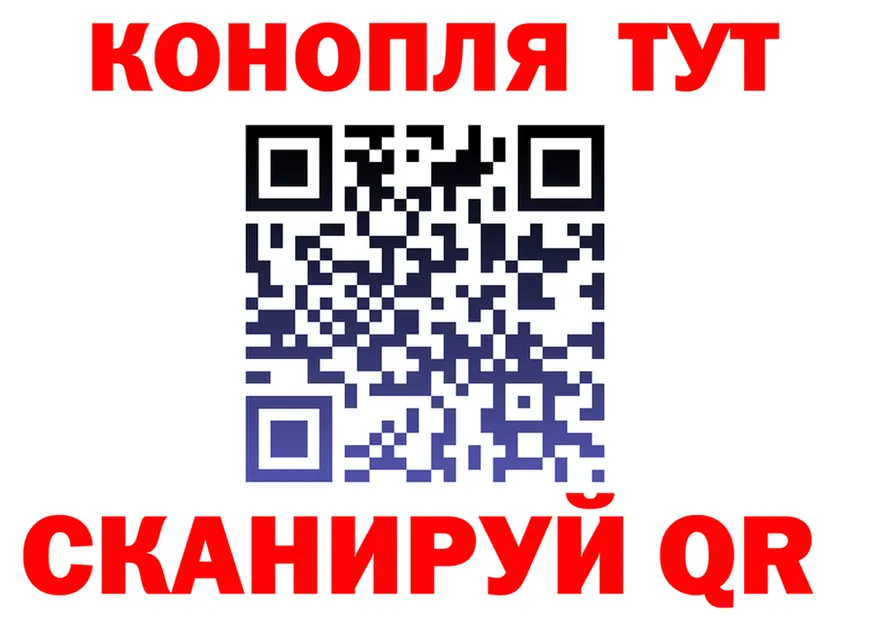 A PVP СК КРИС ТОР площадка гидра Биробиджан